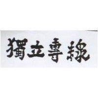 獨立專線