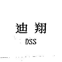 迪翔 DSS