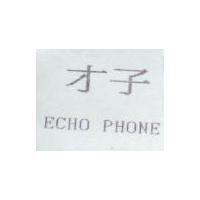 才子 ECHO PHONE