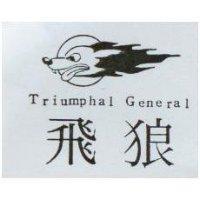 飛狼 Triumphal General 及圖