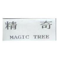 精奇 MAGIC TREE