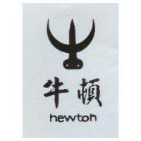 牛頓 newton 及圖