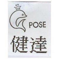 健達 POSE 及圖
