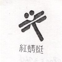紅蜻蜓及圖