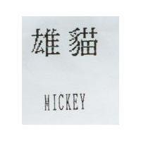 雄貓 MICKEY