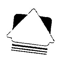 松青資訊有限公司標章