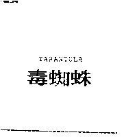 毒蜘蛛 TARANTULA