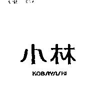 小林 KOBAYASHI