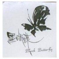 黑蝴蝶及圖 Black Butterfly