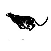 豹圖