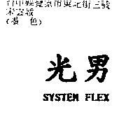 光男 SYSTEM FLEX