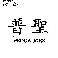 普聖 PROGAUGES