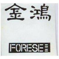 金鴻 FORESEE