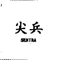 尖兵 SENTRA