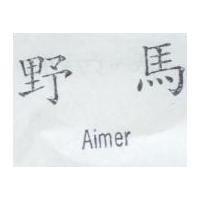 野馬 Aimer