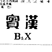賓漢 B&X