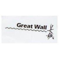 長城 GREAT WALL & device