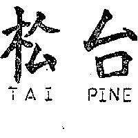 台松 TAI PINE 