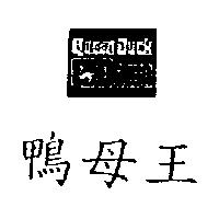 鴨母王及圖 QUEEN DUCK DOWN