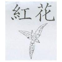 紅花及設計圖