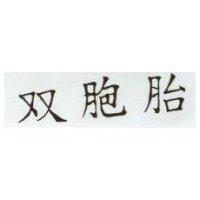 双胞胎