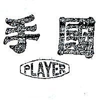 國手 PLAYER 