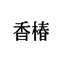 香椿