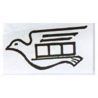 鴿子設計圖