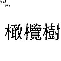 橄欖樹
