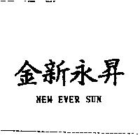 金新永昇 NEW EVER SUN