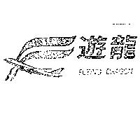 遊龍及圖 FLYING DRAGON