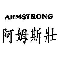 阿姆斯壯 ARMSTRONG
