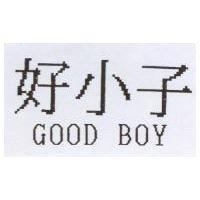 好小子 GOOD BOY