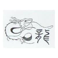 龍及圖