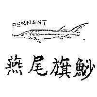 燕尾旗鯊及圖 PENNANT