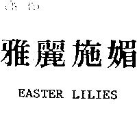 雅麗施媚 EASTER LILIES