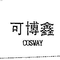 可博鑫 COSWAY