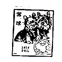 雪球 SNOW BALL 及圖
