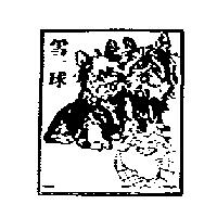 雪球及圖