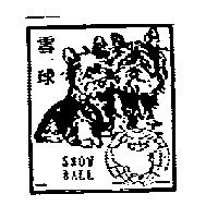 雪球 SNOW BALL 及圖