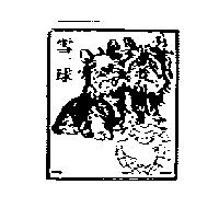雪球及圖