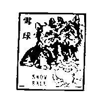 雪球 SNOW BALL 及圖