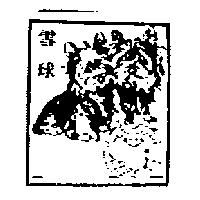 雪球及圖
