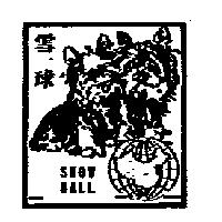 雪球 SNOW BALL 及圖