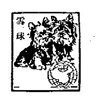 雪球及圖
