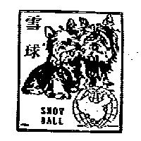 雪球 SNOW BALL 及圖
