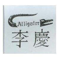 李慶 ALLIGATOR 及圖
