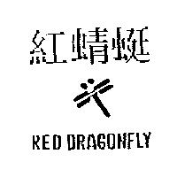 紅蜻蜓及圖 RED DRAGONFLY