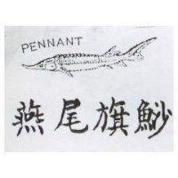 燕尾旗鯊及圖 PENNANT