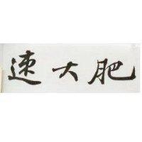 速大肥